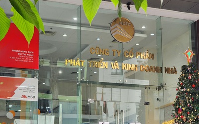 Không bàn giao đất nền đã bán cho người dân, 3 anh em đại gia Đinh Trường Chinh bị truy tố