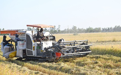 ĐBSCL: Bước ngoặt lịch sử trở thành hình mẫu nông nghiệp carbon thấp của châu Á