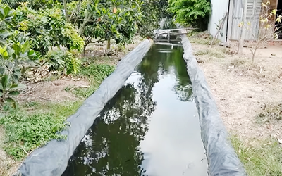 Trữ nước chống hạn, cẩn thận mầm bệnh từ muỗi