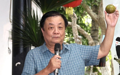Nông dân phải có nguồn thu khác từ trái cam, trái dừa, củ khoai lang