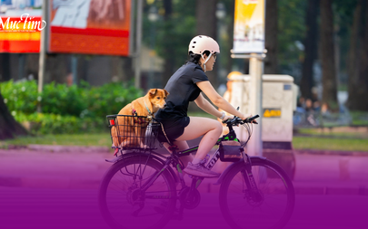 Dự báo thời tiết ngày mai 31-12: Ngày cuối năm Bắc Bộ rét, Nam Bộ sáng trời mát