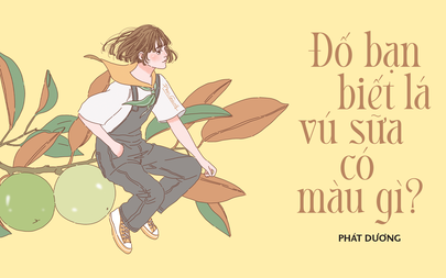 Truyện ngắn Mực Tím: Đố bạn biết lá vú sữa có màu gì?