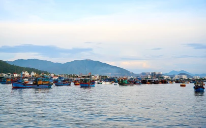 Một ngày khám phá bến cá Vĩnh Trường