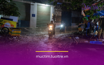 TP.HCM mưa lớn, gió mạnh gây ngập, cây xanh ngã đổ