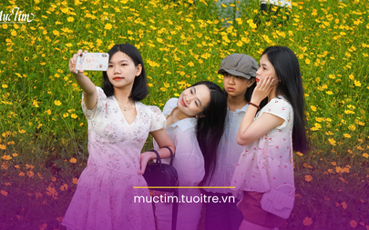 Cánh đồng hoa vàng phủ kín khung hình, giới trẻ rủ nhau đến check-in