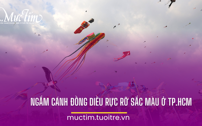 Ngắm cánh đồng diều rực rỡ sắc màu ở TP.HCM