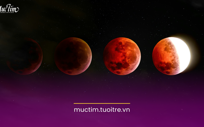 Cách chiêm ngưỡng nguyệt thực toàn phần tối 3-3