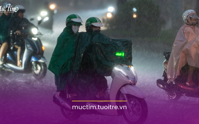 Dự báo thời tiết ngày mai 12-6: Cả 3 miền ngày nắng, chiều tối mưa dông