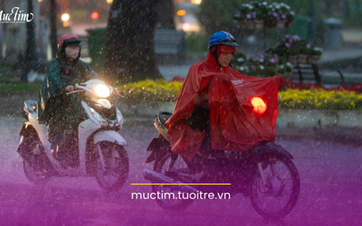 Dự báo thời tiết ngày mai 9-6: Bắc Bộ giảm nhiệt mạnh, Nam Bộ mưa rào chiều tối