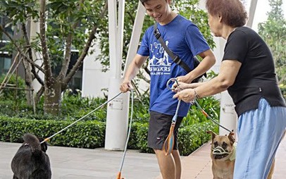 'Chạy show' dắt chó đi dạo kiếm tiền triệu mỗi ngày ở TP.HCM