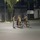 4 cụ bà đứng giữa ngã ba đường buôn chuyện
