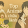 Top anime giúp bạn chữa lành tâm hồn (phần 1)