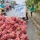 Thử tài tinh mắt: Nho Ninh Thuận giòn ngọt 5.000 đồng/kg