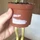 Ảnh vui 25-8: Đến cả cái cây cũng mọc chân để rời bỏ bạn