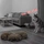 Chó husky chạy té khói vì bị đồng bọn đổ lỗi
