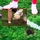 Trận đấu vòng loại World Cup 2026 phải tạm dừng vì xuất hiện hố sụt
