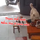 Chú chó thưởng thức ngon lành mâm cơm gia chủ vừa dọn lên
