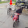 Pha bỏ quên 'cần câu cơm' khiến dân mạng bật cười