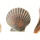 Quiz: Điểm yếu lớn nhất của bạn là gì?