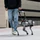 Công ty này đang tuyển người dắt chó robot đi dạo, lương lên đến 3 triệu/ca