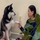 Husky giơ chân xin bà chủ que kem