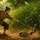 Thành ngữ quen thuộc này là gì? (P92)