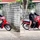 Chàng trai suýt bị rắn khủng cắn vì tưởng dễ ăn