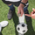FIFA tính chuyện đổi luật luân lưu giữa World Cup 2026