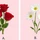 Quiz: Vận mệnh của bạn gắn liền với điều gì?