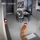 Hào hứng check camera mới, cô gái ngã ngửa với chất lượng 'vượt' mong đợi
