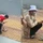 Câu chuyện đáng yêu khiến cõi mạng tan chảy
