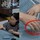 Chồng sung sướng vì trộm tiền của nóc nhà thành công