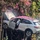 SUV 'đỗ’ trên cây sau chặng đường trải... hoa hồng