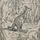 Thử tài tinh mắt: Tìm 3 con kangaroo trong hình