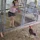Nhờ vợ cho gà ăn giùm, nhưng khi xem lại camera thì cười đau bụng