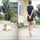 Chú chó cảnh giác tột độ khi thấy cô chủ cầm roi