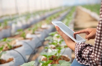 Paving Vietnam’s path to food security amidst climate change