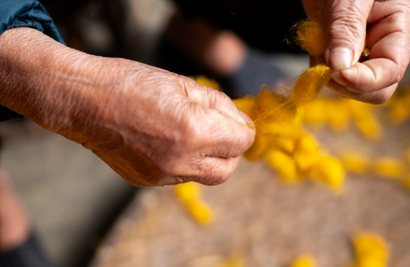Tradition reimagined for a digital future