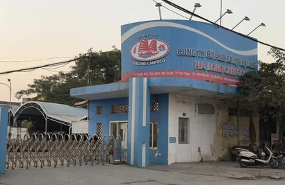 Vietnam’s scandal-hit Halong Canfoco loses food safety certification, reopening date unclear