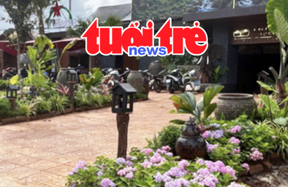 Vietnam Spotlight Podcast: Café owner fined over unauthorized sidewalk trees, Hanoi AI cameras catch over 18,000 offenses