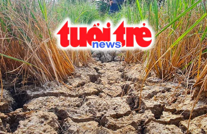 Vietnam Spotlight Podcast: Very strong El Nino may bring fewer storms, Phu Quoc plans to lease forest for ecotourism