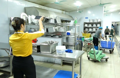 Hanoi schools ordered to review canteen food sources after 300-tonne diseased pork scandal