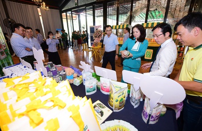 Project launched to elevate Vietnamese robusta coffee's global standing