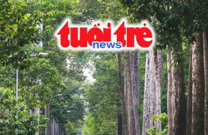 Vietnam Spotlight Podcast: Ho Chi Minh City weighs future of 4,000 aging trees; proposed halt to IELTS bonus points
