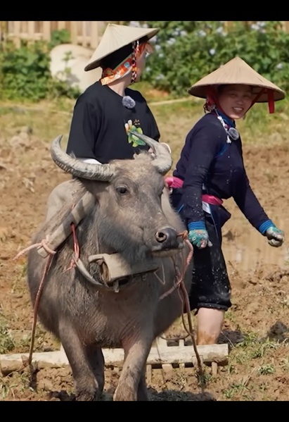Gặp gỡ thế giới động vật đáng yêu trong Gia đình Haha