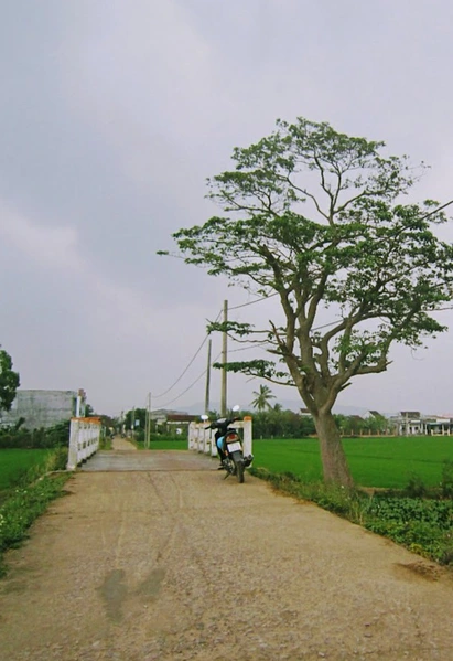 Bài tham dự sân chơi viết Chuyến xe mùa xuân: Chở má thăm xuân