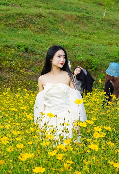 Cánh đồng hoa ở Đắk Lắk có gì khiến các 'nàng thơ' chen chúc check-in dịp Tết này?