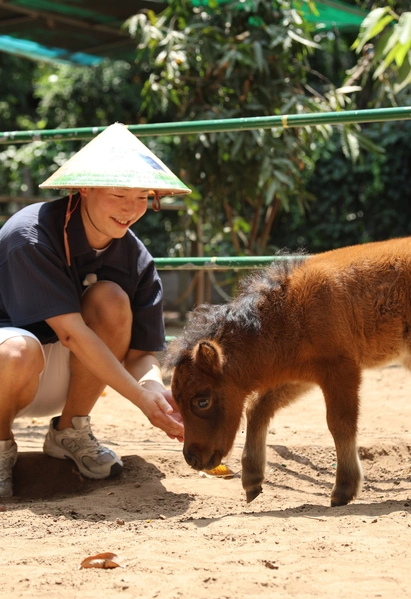 Ngựa lùn Cacao Thảo cầm viên ra mắt, “khai hoa bắt miếng” tại tiệc đầy tháng