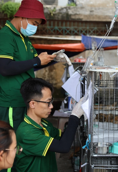 Phía sau hành trình chăm sóc hơn 400 chú mèo được giải cứu