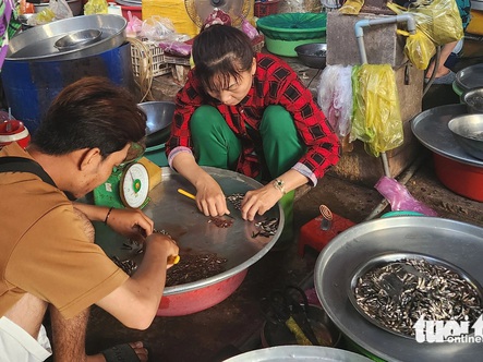 Mực nước đầu nguồn Đồng bằng sông Cửu Long tăng nhẹ, sản vật mùa nước nổi bắt đầu về chợ